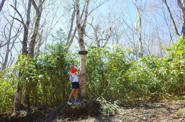 野牛山と竹子山｜低山×ウォーキングで長距離ハイキング（5月上旬）