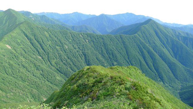 コイカクシュサツナイ岳夏尾根