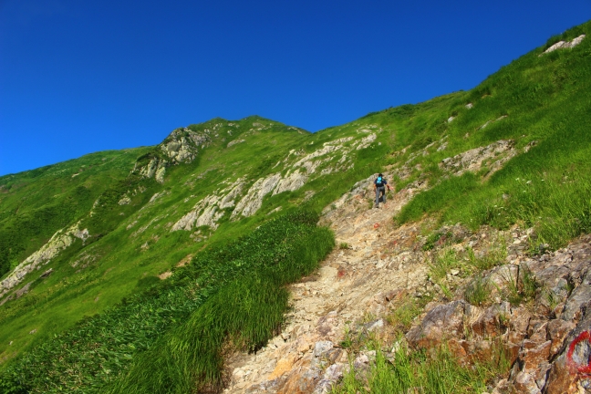 越後駒ヶ岳の夏山登山｜枝折峠から小倉山を越えて緑と残雪の頂へ（8月上旬）