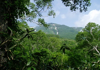 狩場山登山（千走新道コース）｜ヒグマ注意で残雪多い山歩き（7月上旬）