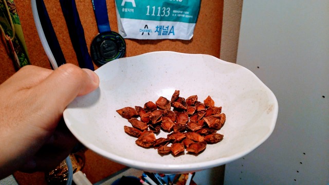 八角