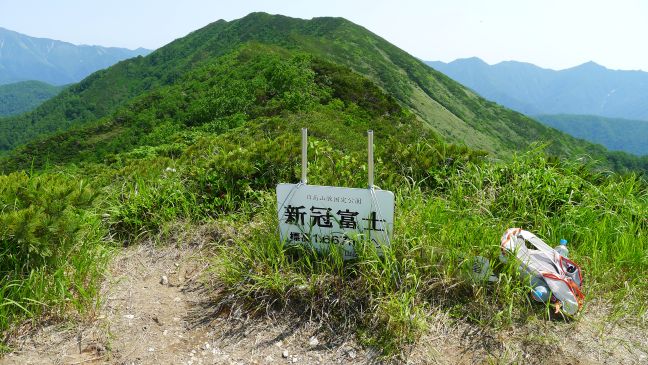新冠富士