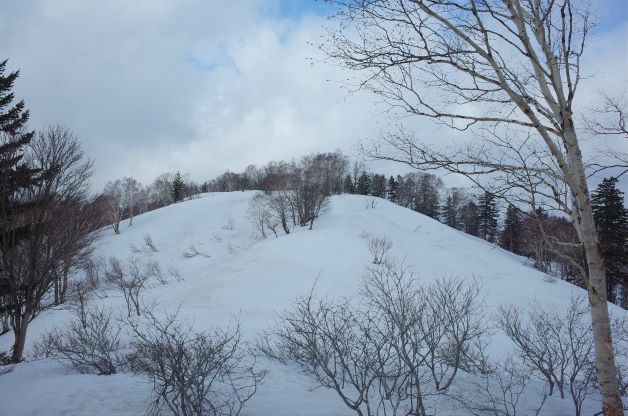 小川峰から柳沢への稜線