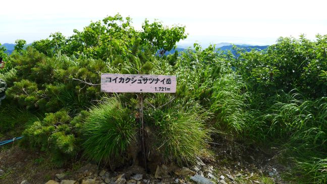 コイカクシュサツナイ岳