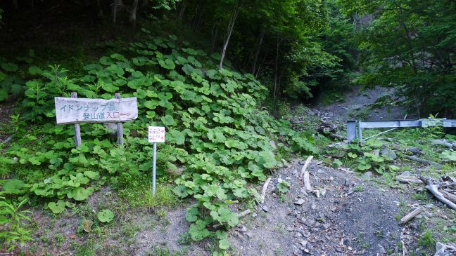 イドンナップ岳登山道入口