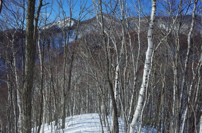 核心部はこのパート。意外と標高差がある砥石山