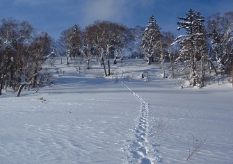 迷沢山・阿部山登山｜平和の滝からスノーシューで送電線ルートへ（1月上旬）