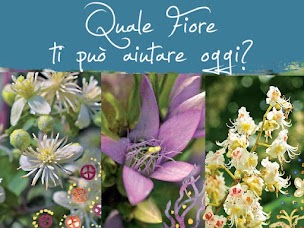 quale fiore di Bach ti può aiutare?