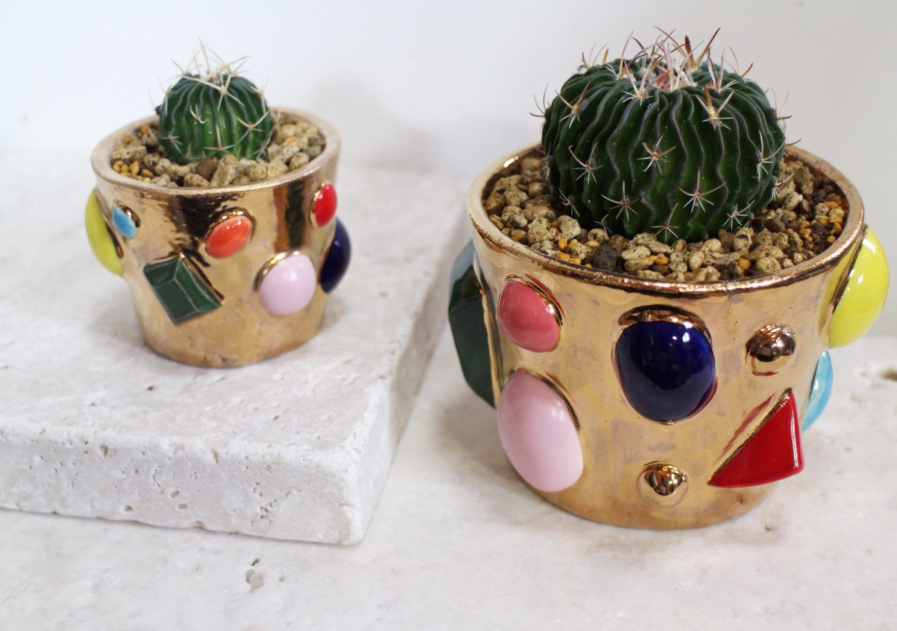 Shop/Exhibition information - koyomi-rey-ceramics