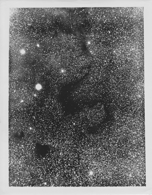 Der Dunkelnebel Barnard 72 (aka  “S” oder “Snake Nebula”), fotografiert mit dem Mt. Wilson 60-inch Teleskop am 4 Juli 1921