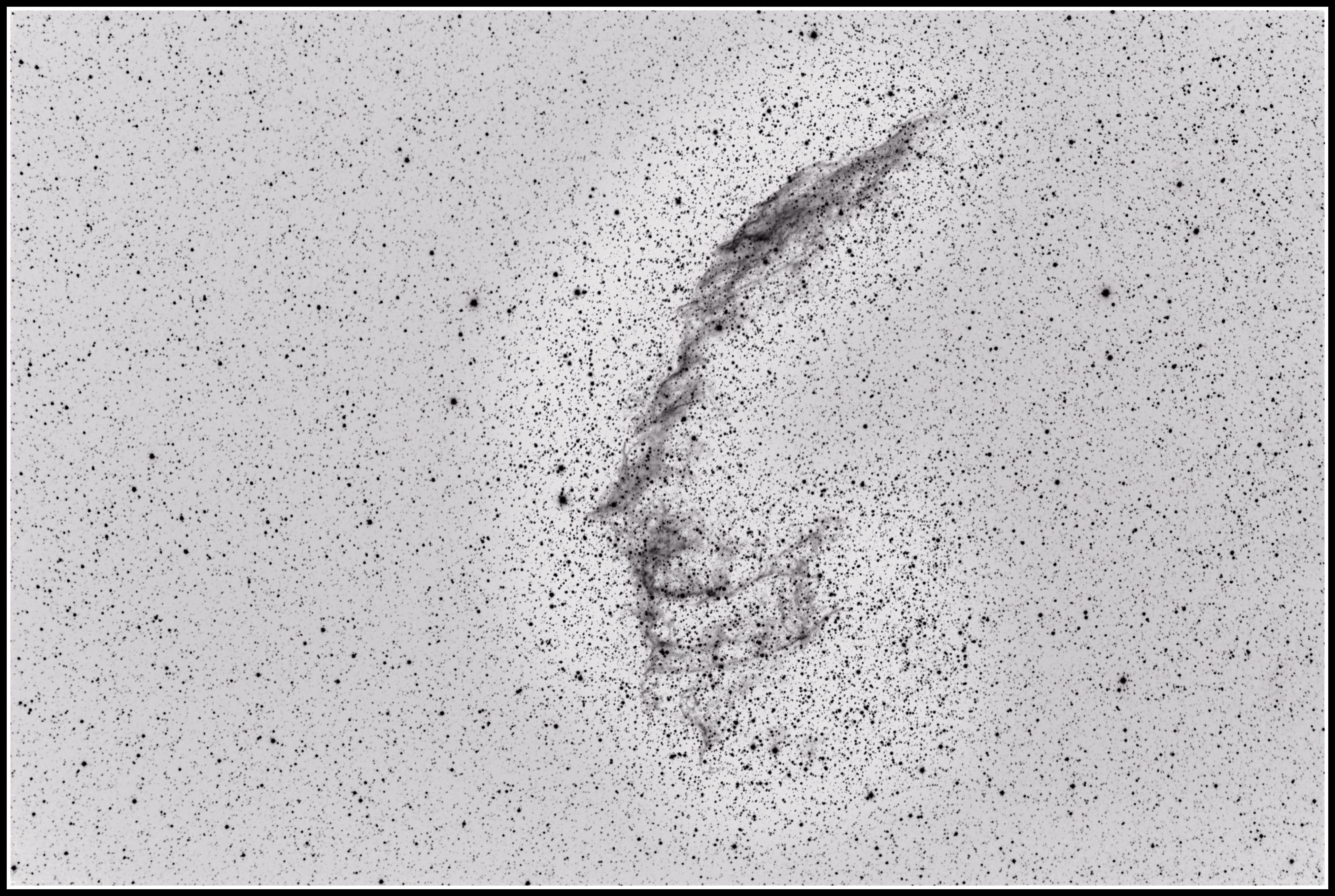 NGC 6992/6995 and IC 1340 inverted image - invertierte Aufnahme  MeixnerObservatorium