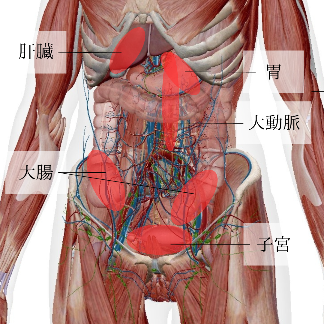 ●副鼻腔炎　腹部（内臓）の状態も関係している？　東京都小平市