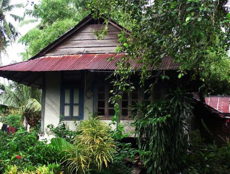 Tangkoko "Impressionen"
