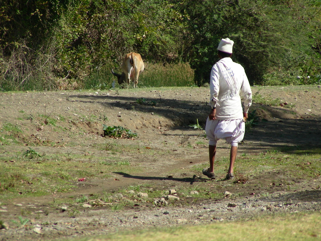 Am Fluss in Sasan Gir