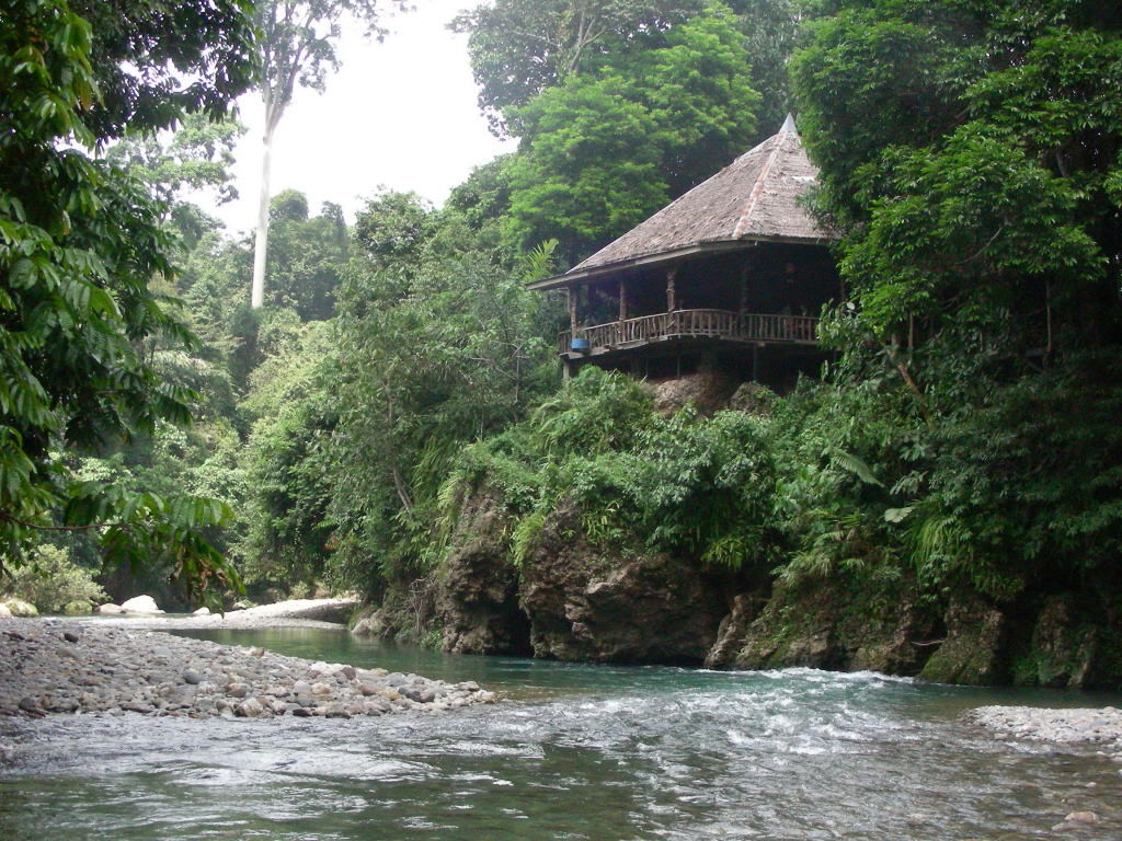 Restaurant Jungle Lodge