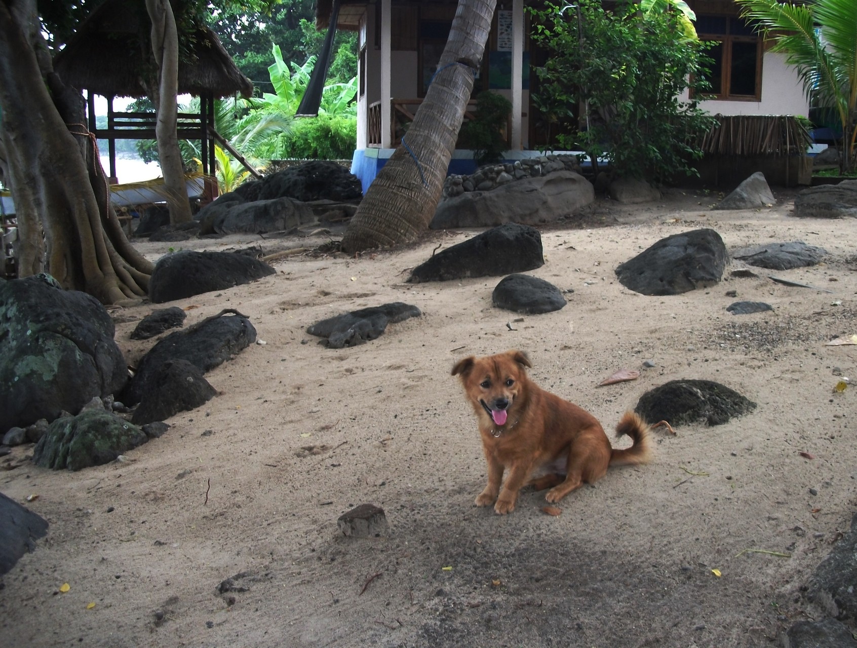 Bei uns am Strand