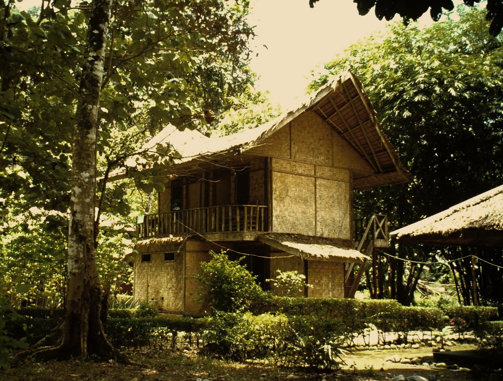 Unsere eigene Bambushütte