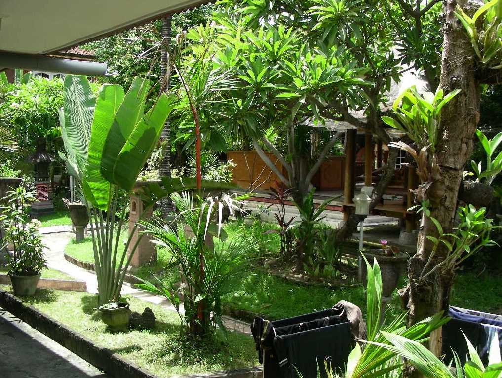Blick in unseren "neuen' Garten