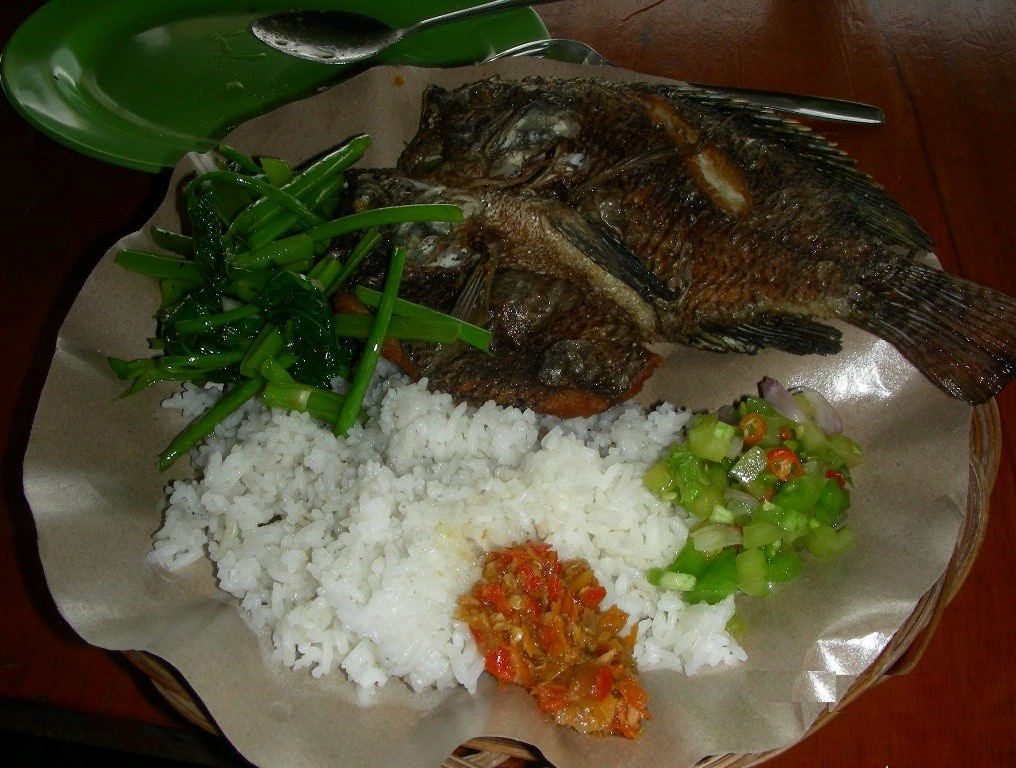Ab sofort esse ich nur noch Fisch...