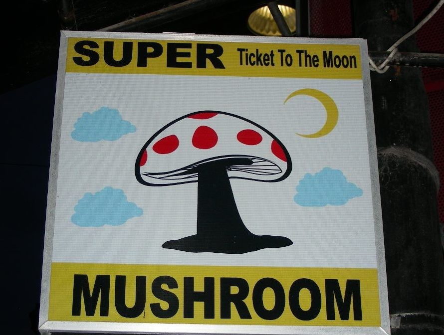 Alle 2 Meter bekommt man MM angeboten - You like a trip to the Moon?