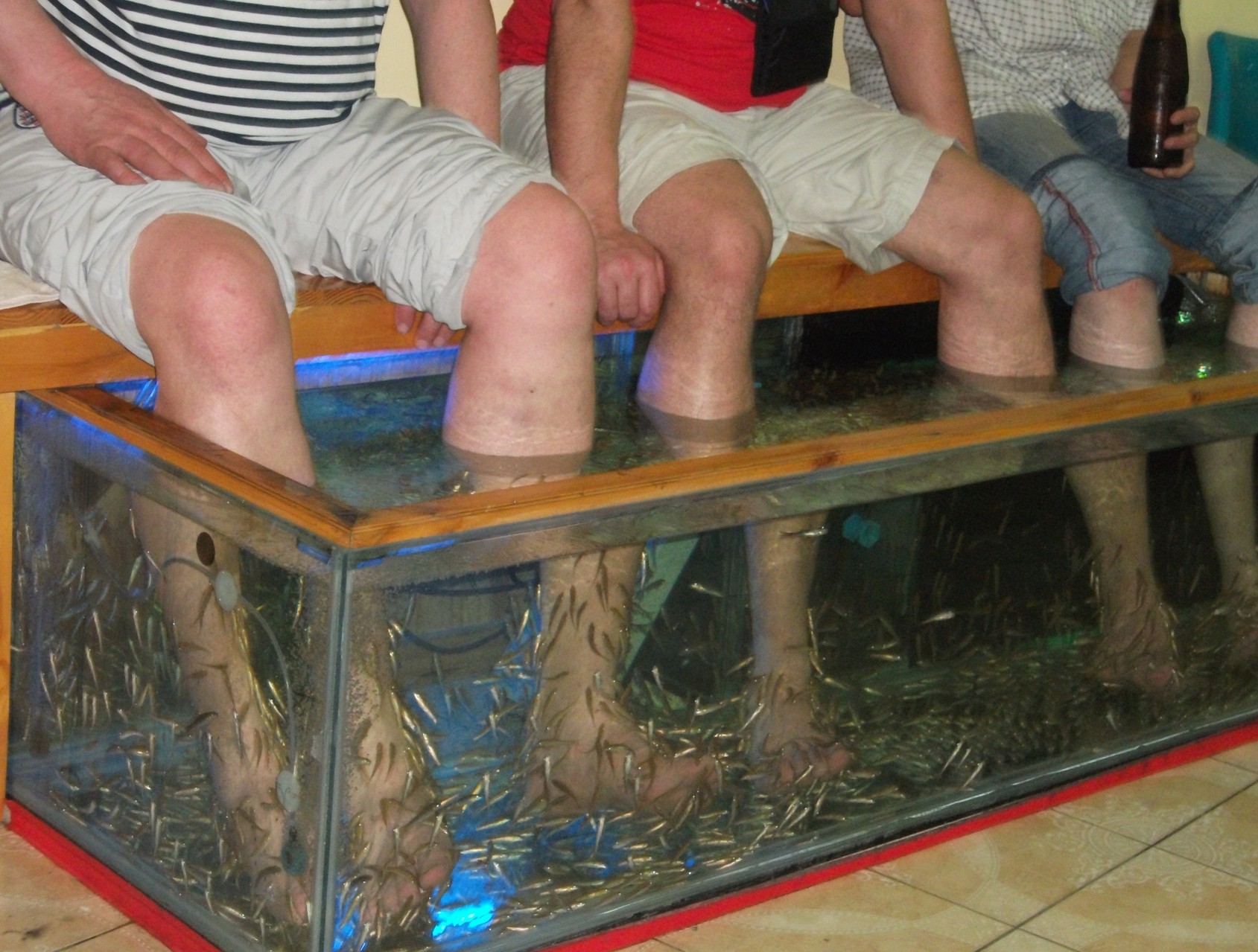 Fisch-Spa
