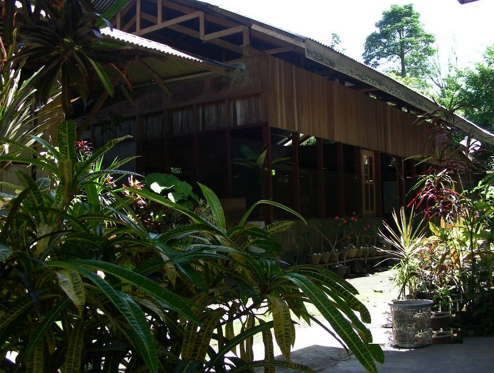 Restaurant bei Mama Rose