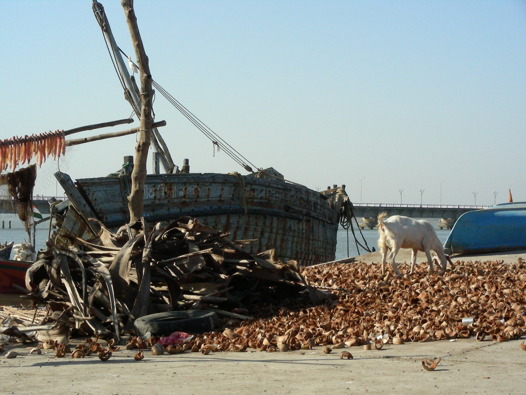 Am Hafen in Diu