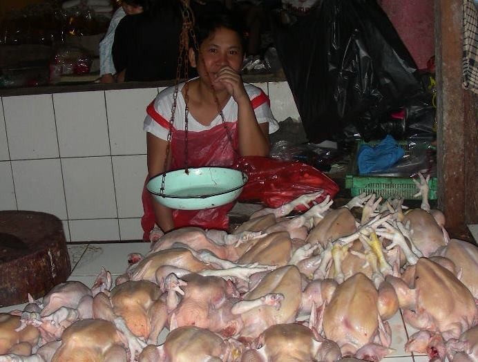 Die Hühnchen - Zarin von Tomohon