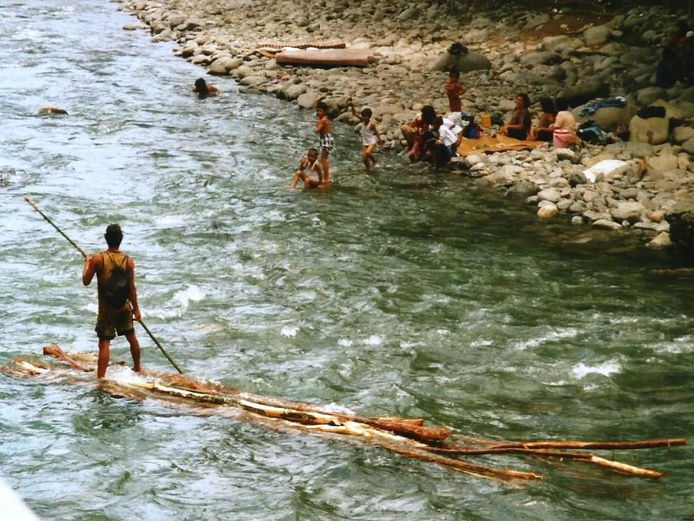Holztransport...