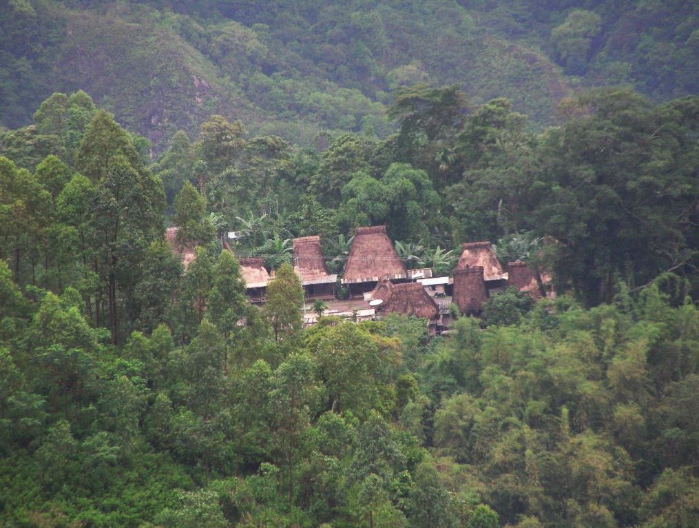 Bena