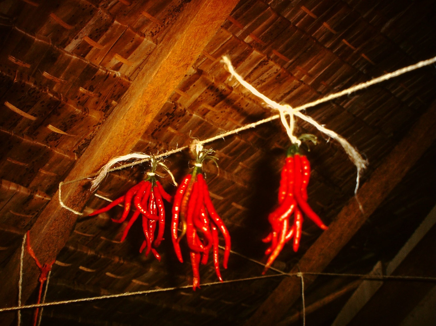 Immer dabei - frische Chillis