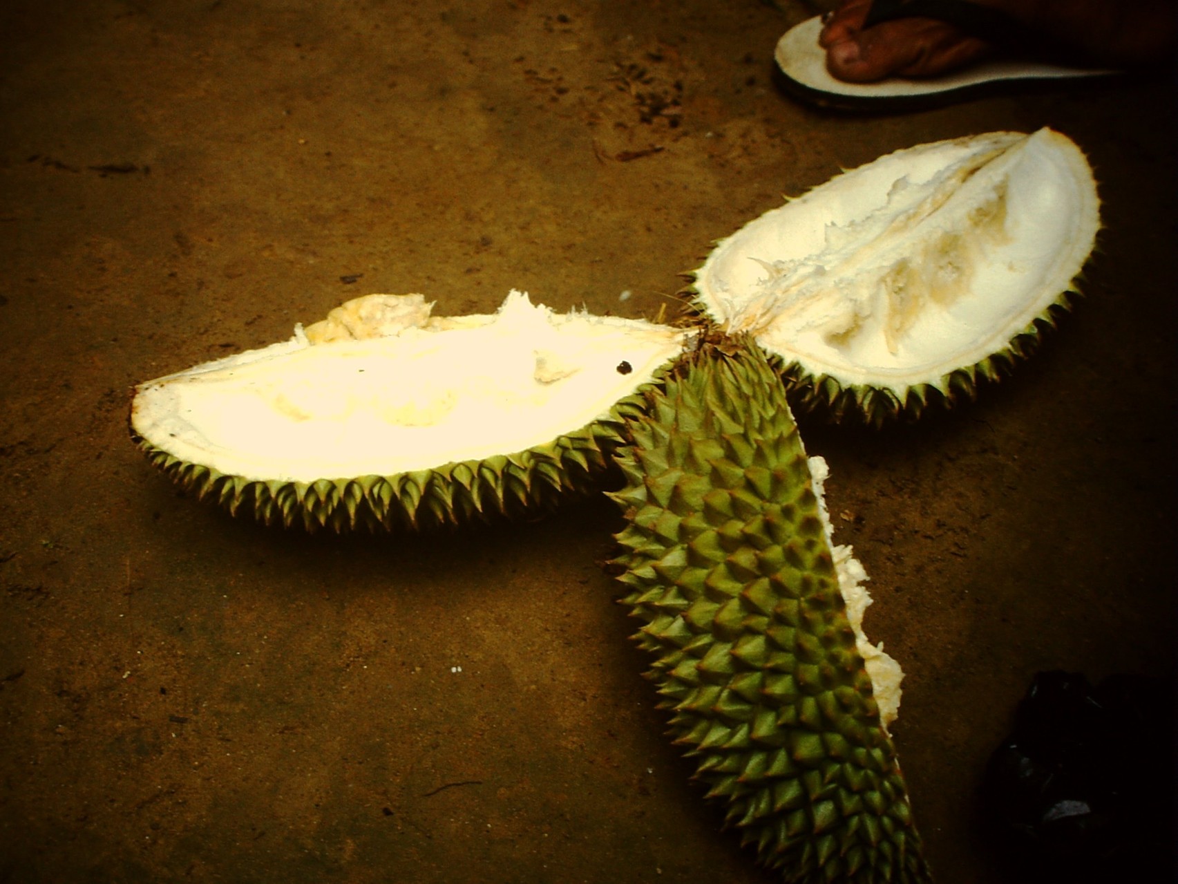 Durian die Königin der Früchte