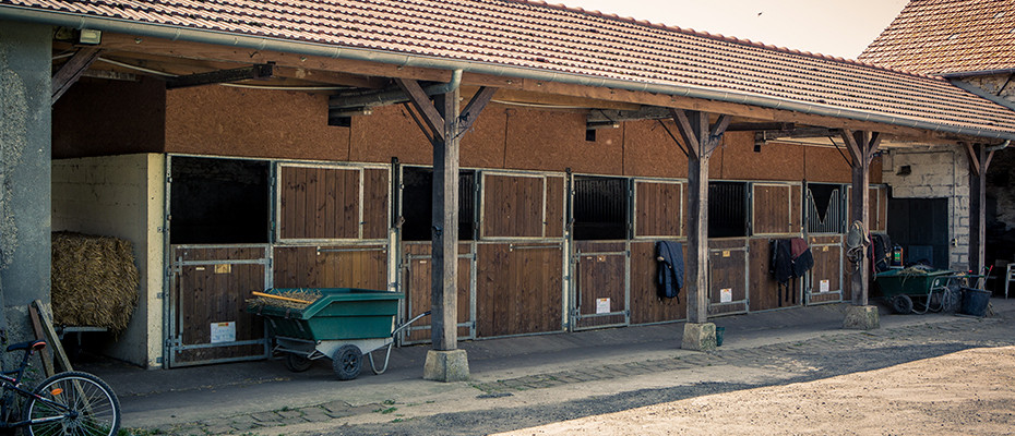 Pension chevaux Seine et Marne 77