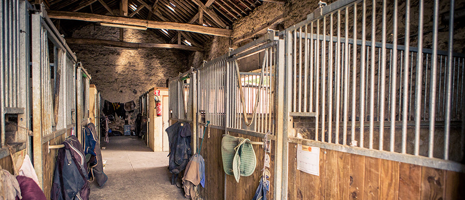 Hébergement de chevaux Pré-box Seine et Marne 77