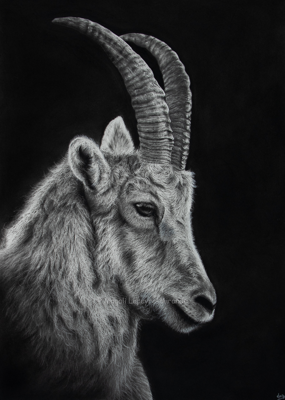 Exposition à la Biennale de sculptures et peintures animalières de Rambouillet 2024