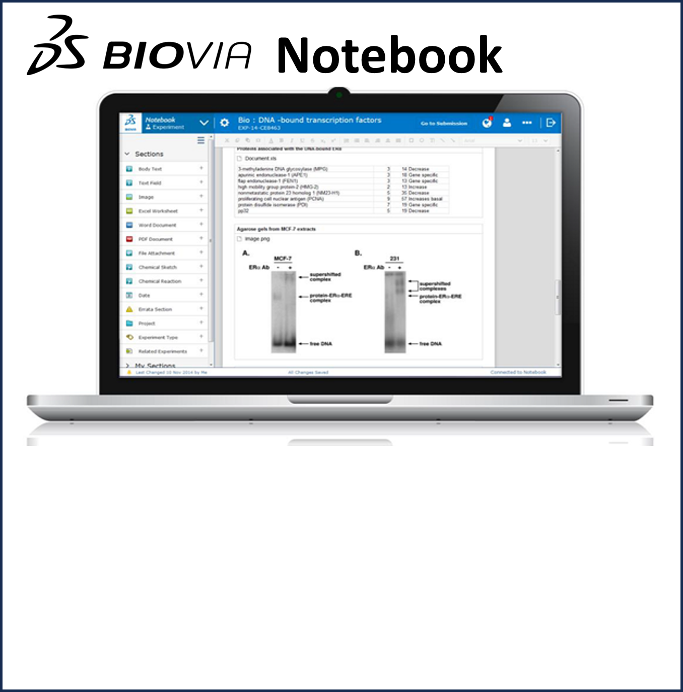 電子実験ノート【BIOVIA Notebook】