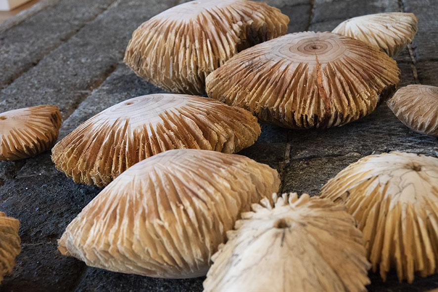 Die Weisheit der Vielen (verschd. Holzarten), Blattkupfer, Größe flexibel