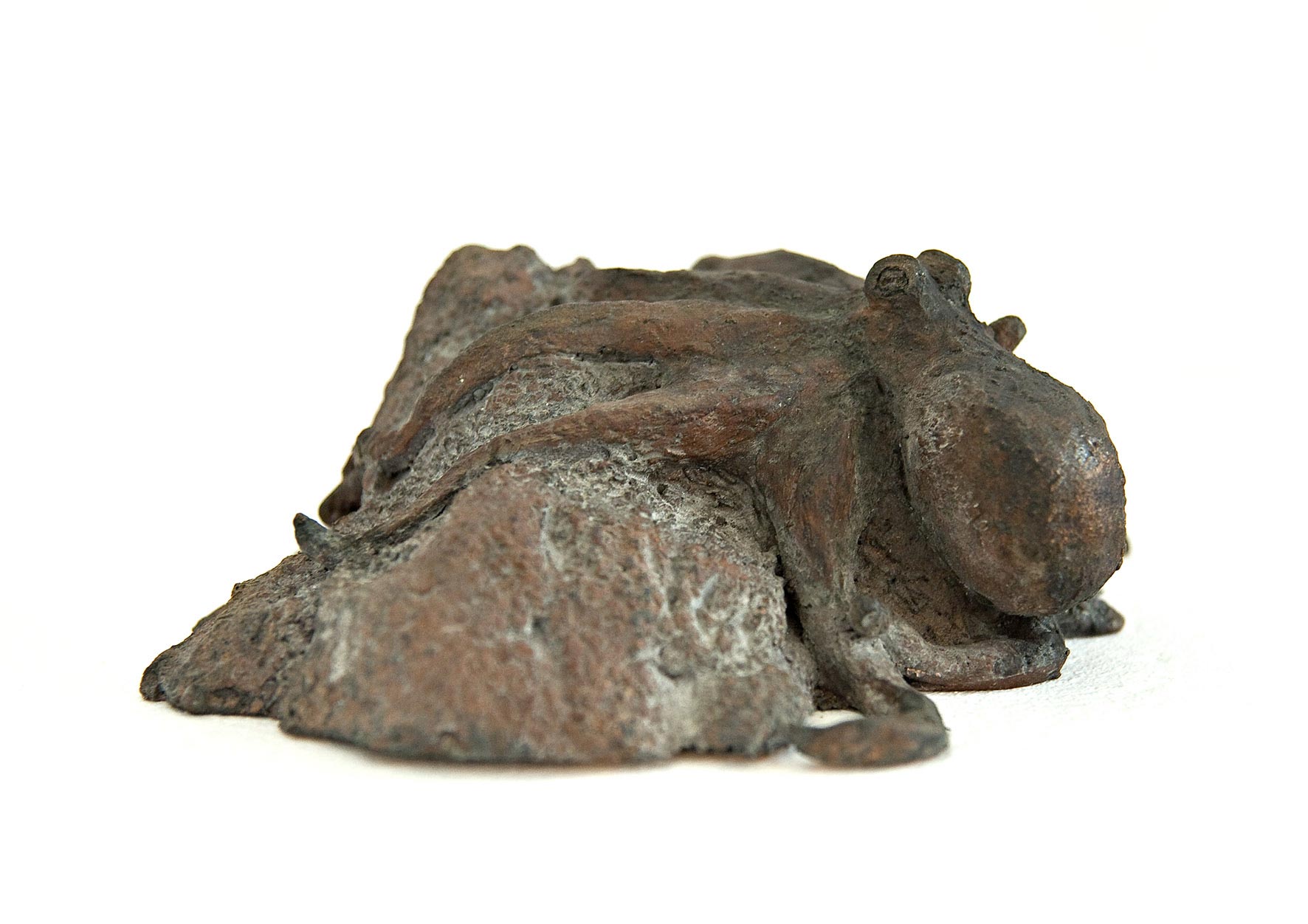 Pulpo, Bronze patiniert, 8/20/16 cm