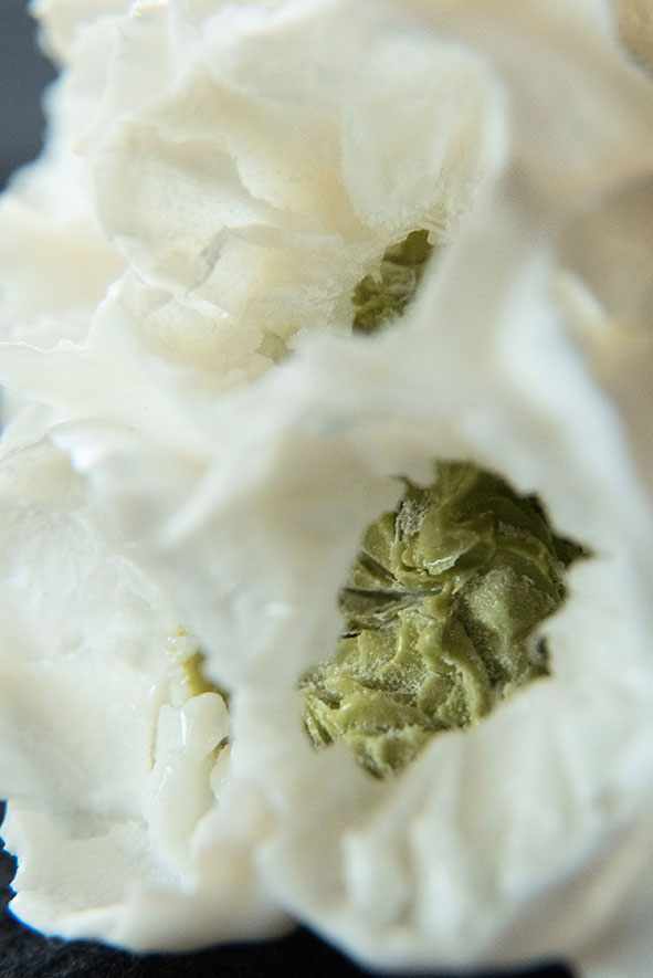 where have all the colors gone?, (Detail) 