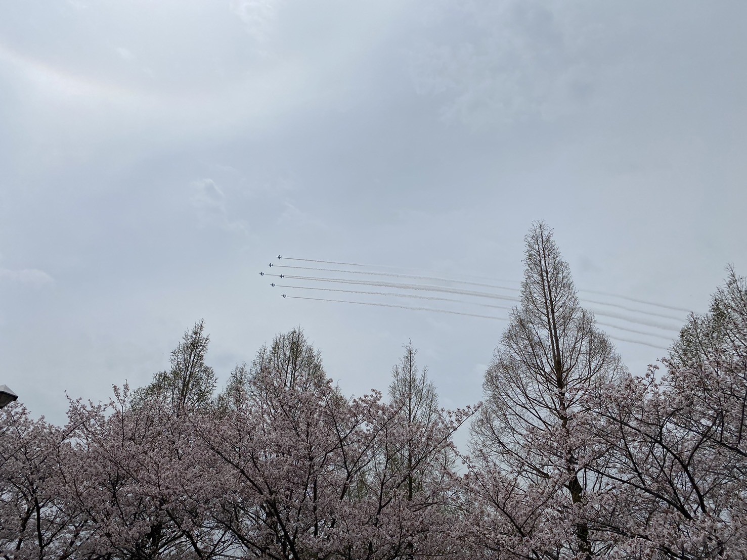 Spring has come