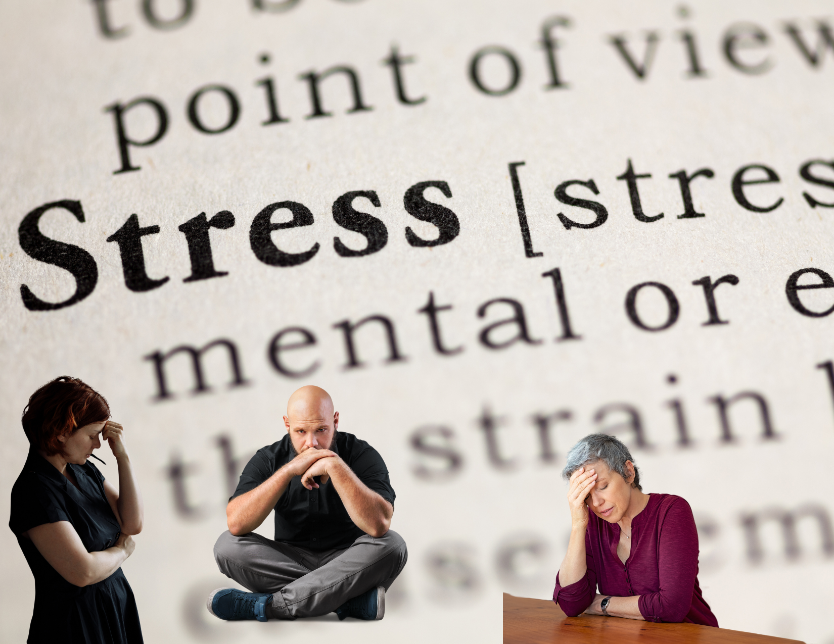 Stressmanagement Vortrag Werksarztzentrum