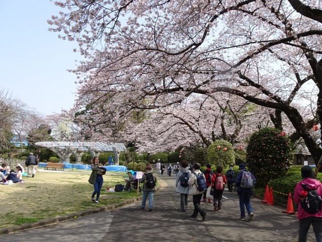 里見公園