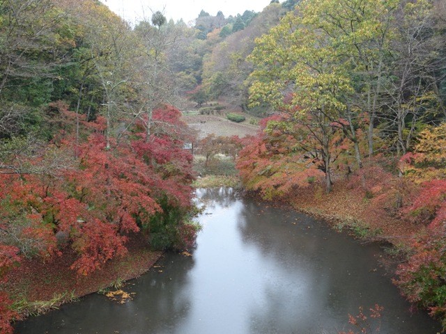 泉自然公園