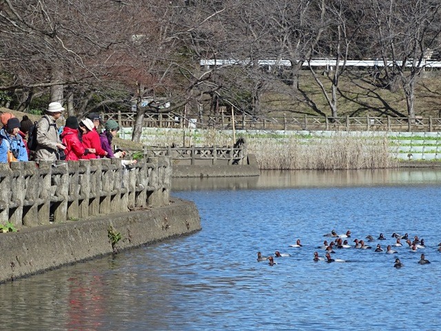 千代田調整池　