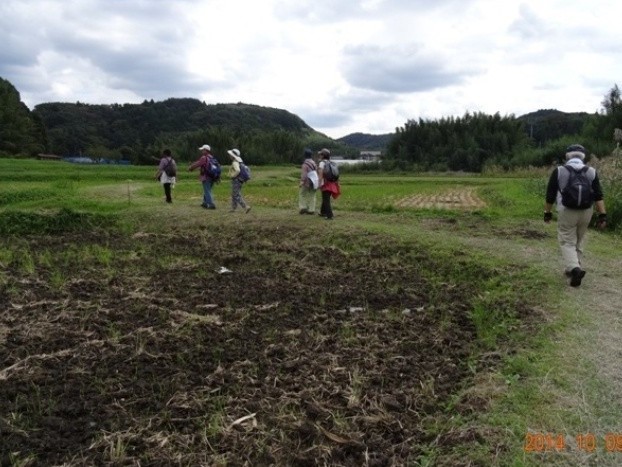 いっせんぼくの路