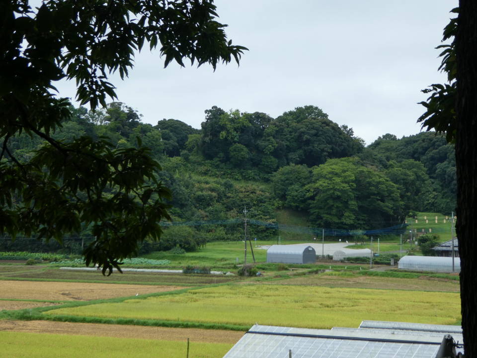 本佐倉城遺跡