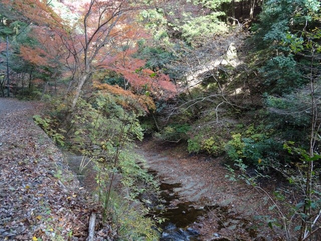 猪ノ川林道沿い