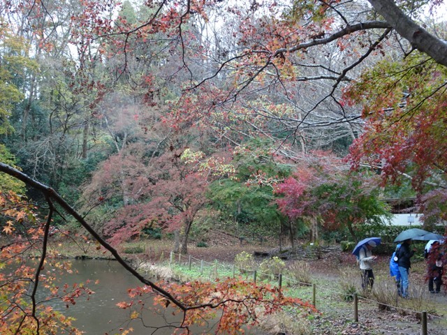 泉自然公園