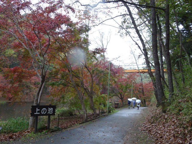 泉自然公園