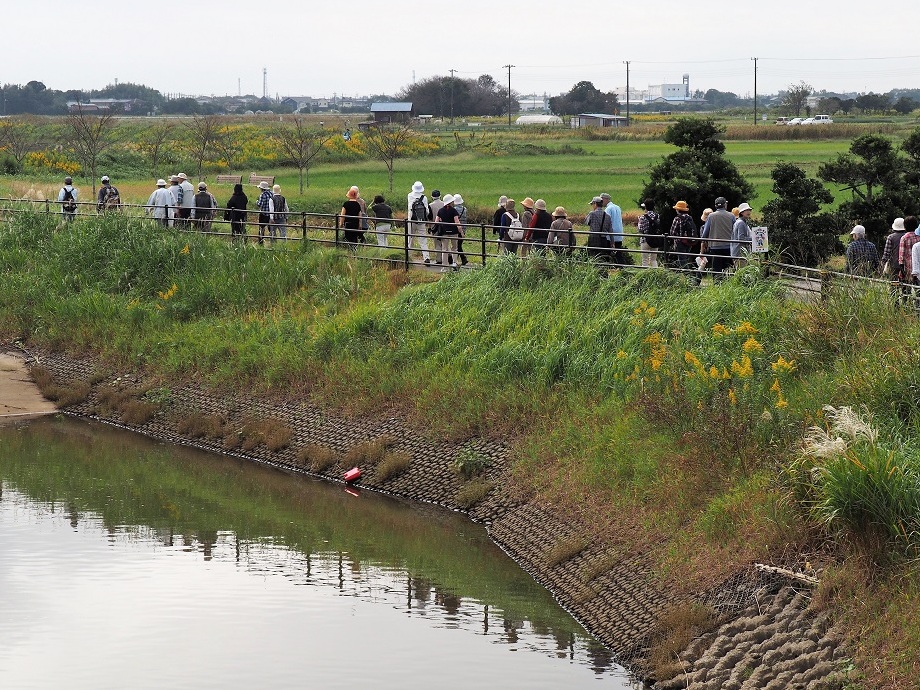 作田川沿い